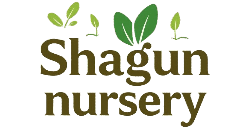 Shagun Nursery