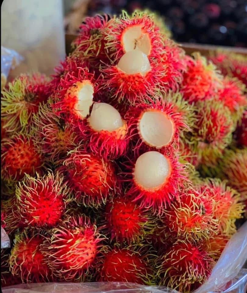 Rambutan (Grafted)