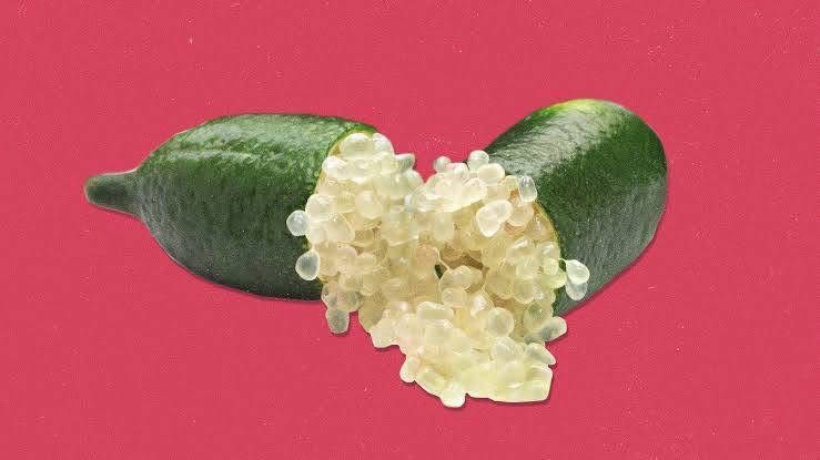 Australian lemon finger (Green) - Image 6