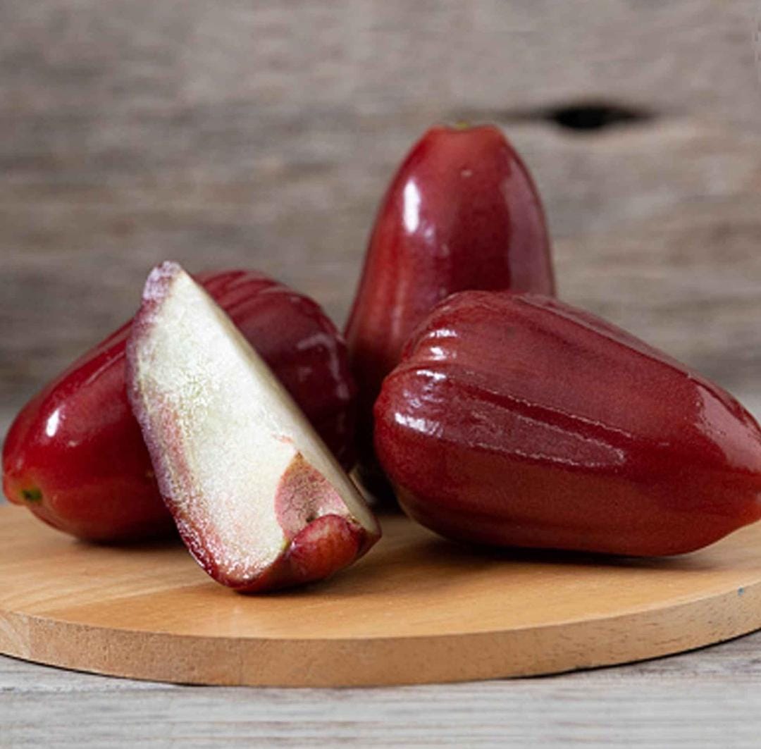 Red Wax Apple - Image 3