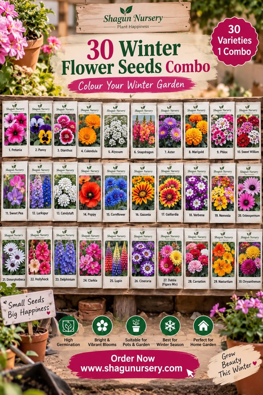 ULTIMATE WINTER FLOWER SEEDS COMBO 🌸 30 Beautiful Varieties for a Colourful Winter Garden