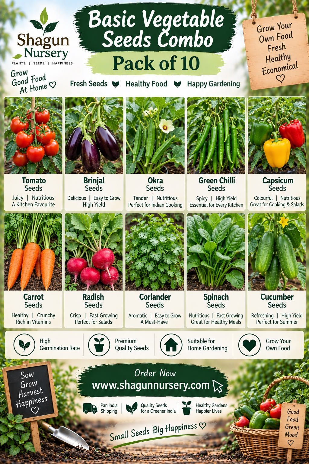Basic Vegetable Seeds Combo Pack of 10